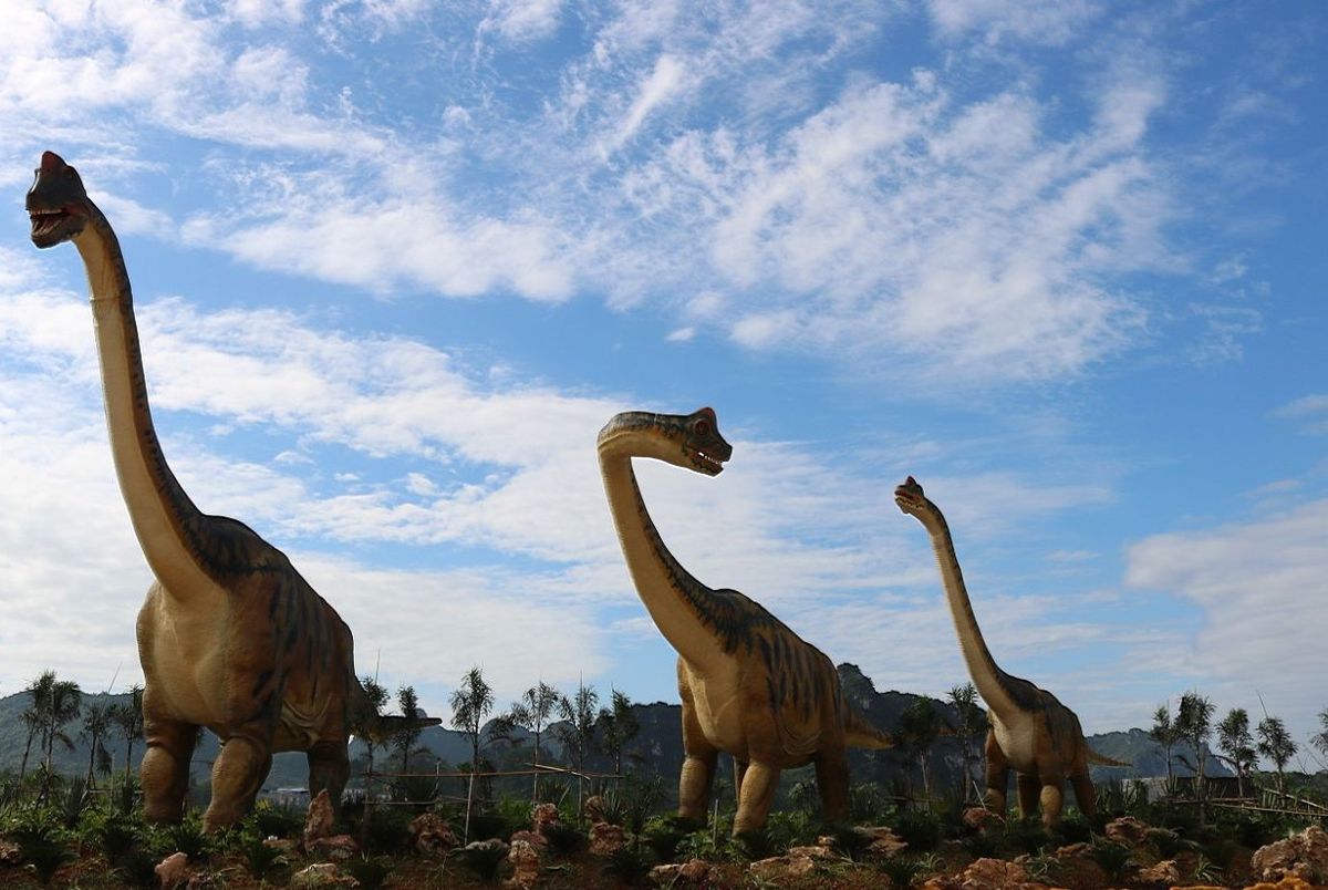 刺激!龙谷湾门票免费送!带你重回侏罗纪!