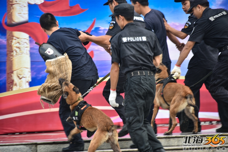 甩不掉的警犬上百萬的機器人防恐防暴重槍北海警營開放日玩真的視頻