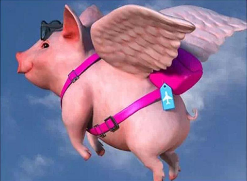 风来了,站在风口上,猪都能上天.