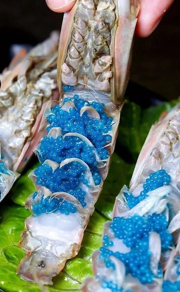 虾籽蓝色图片