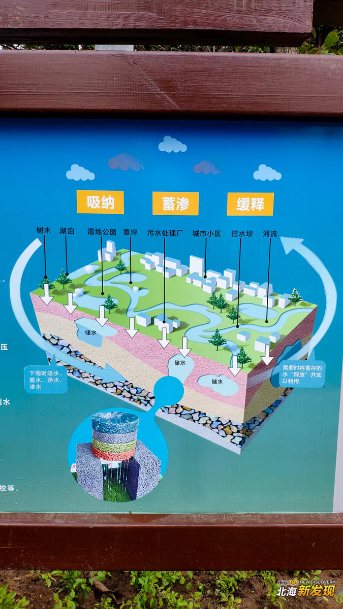 海绵路工作原理图