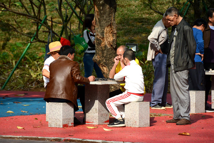 【多圖 小視頻】這才像過年!大年初一,兩大公園裡的溫馨畫面