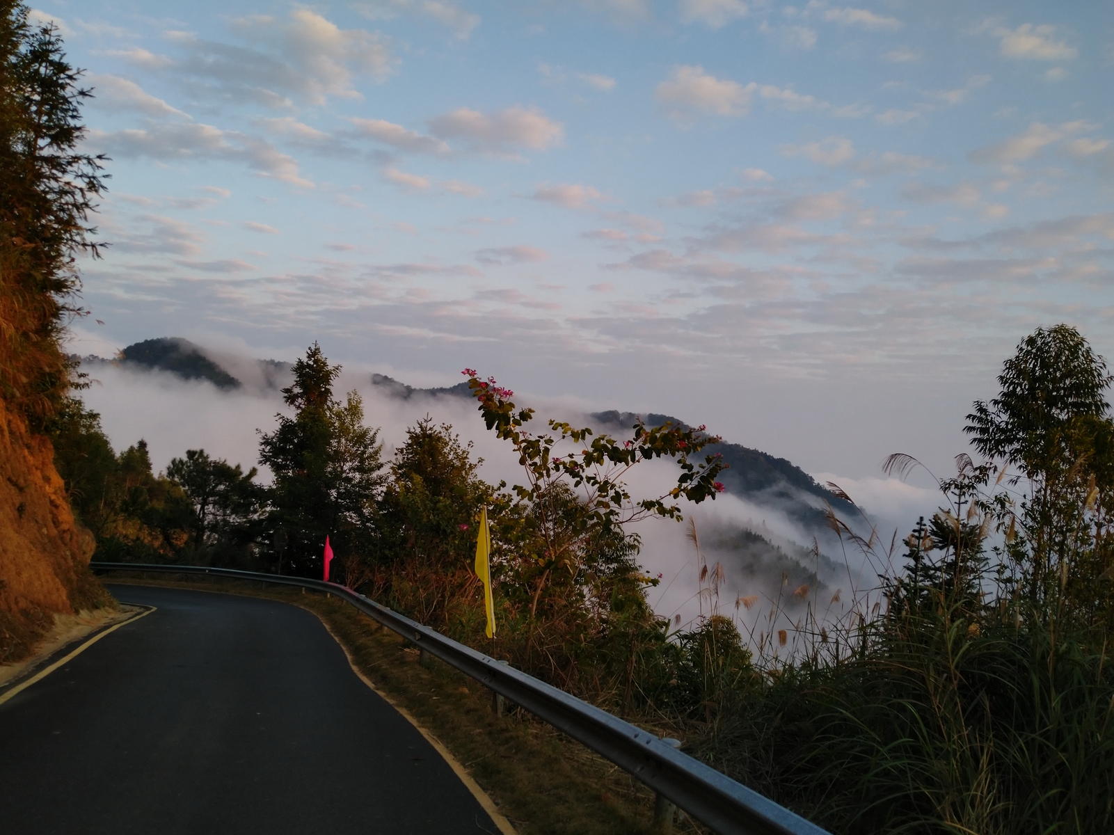 六万大山森林公园露营赏云海