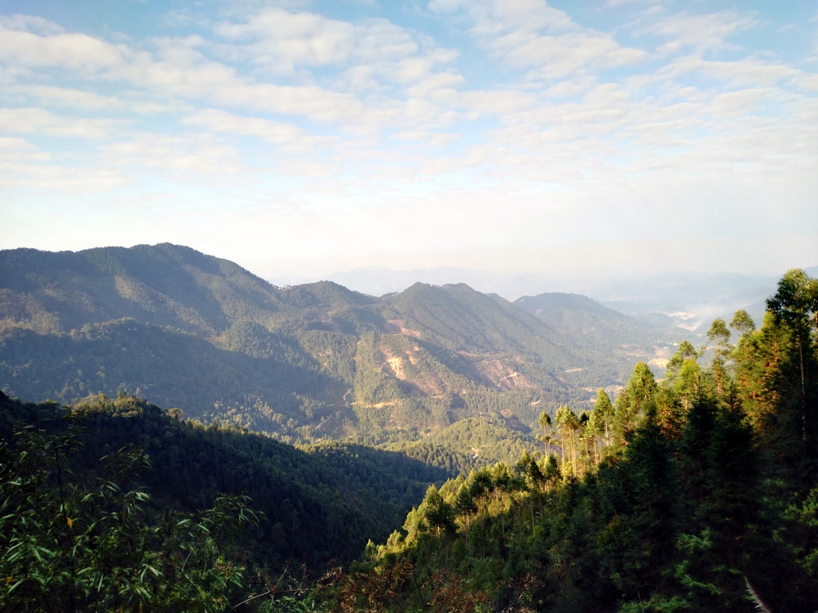 六万大山森林公园露营赏云海