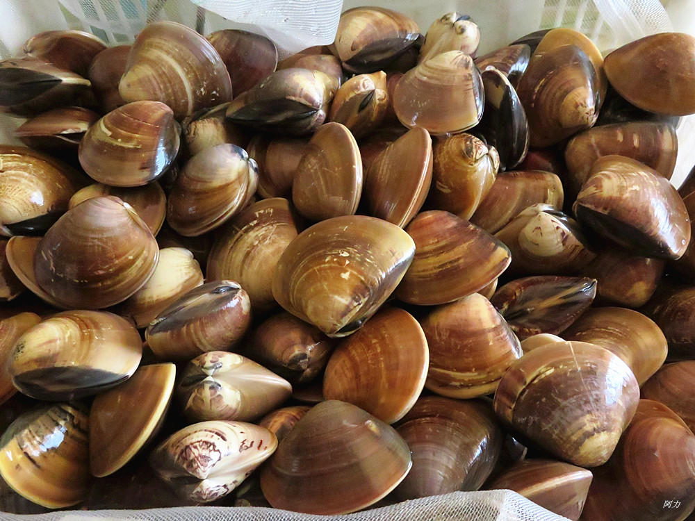 五一游海洋产业园,看见一大一小两个宝贝和一片害草