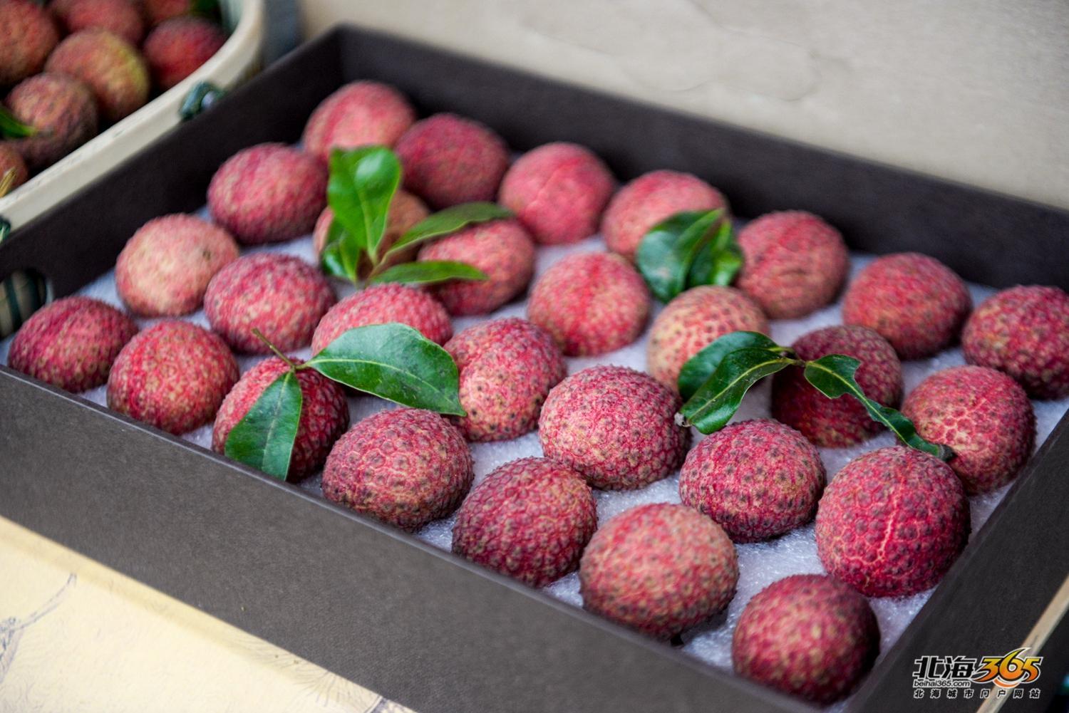 北海有什么水果「北海有什么水果特产」