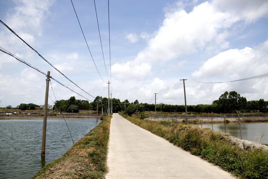 西场镇的这些特色产业让村民脱了贫