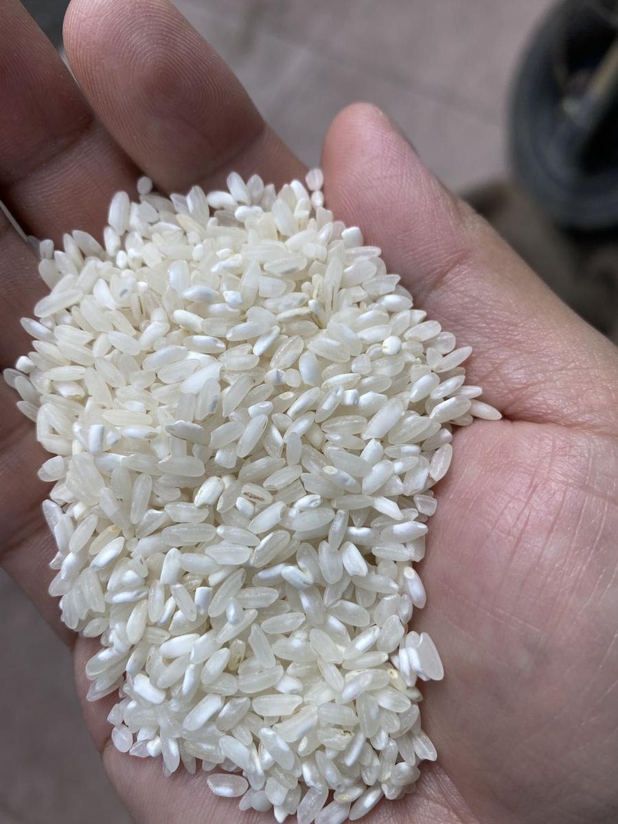 供应博白珍桂米 做盖籺 肠粉 发籺 槐花粉的最佳材料