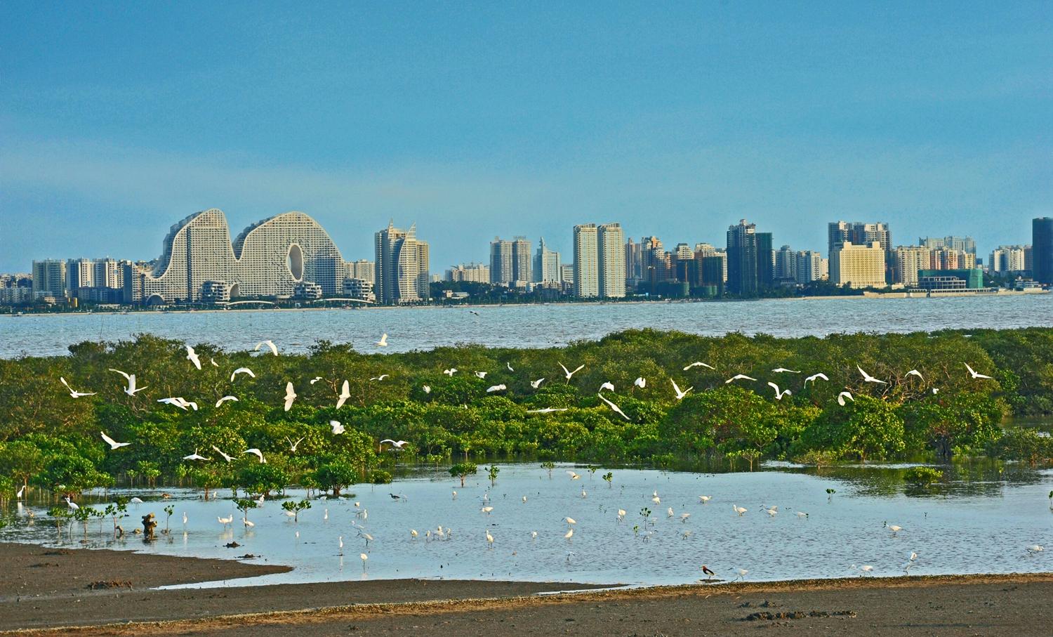"魅力北海 宜居城市"推介会上,众人云游北海惊叹不已!