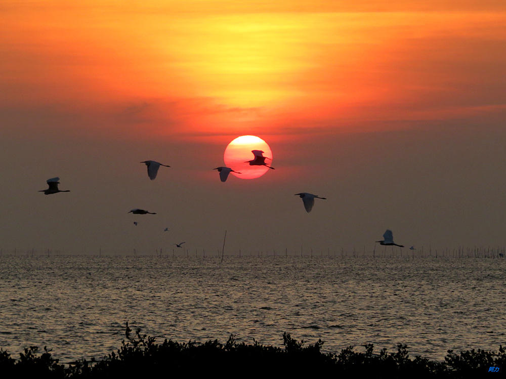 我在北海拍日出