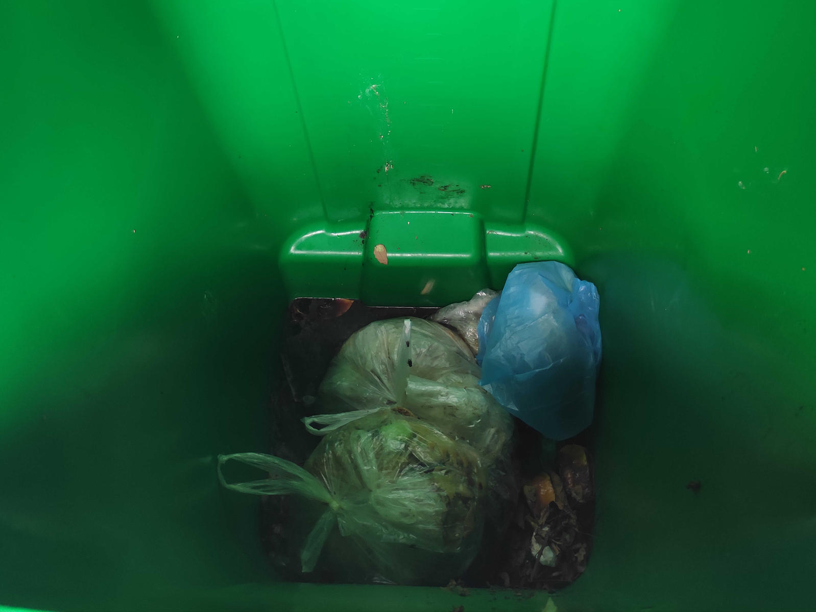 亲身体验,北海街头不会弄脏手的垃圾桶,看了几小时却没人用!