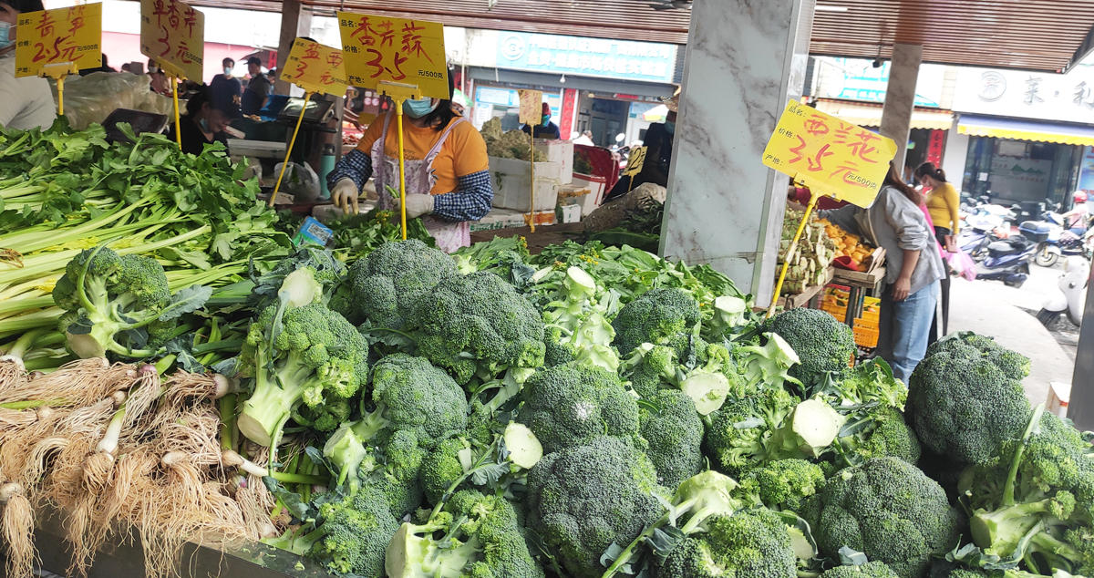 北海各大市场超市蔬菜大量上市供应上海青才098元一斤