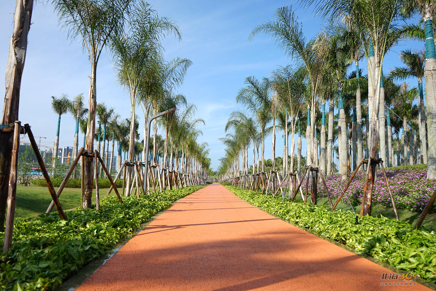 银滩西区滨海绿道作为一个骑行爱好者,自己对北海的绿道非常的关注