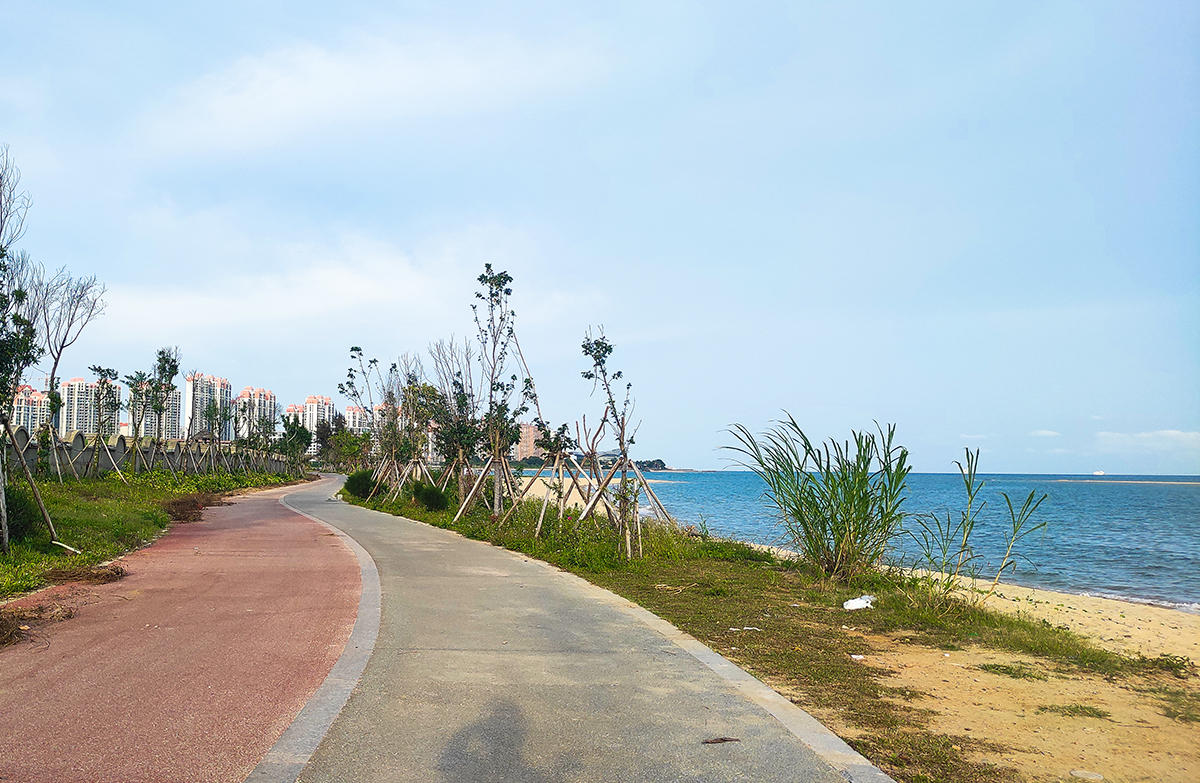 银滩西区这么漂亮的一线景观路,理应不输北岸的人气才对-北海时事开讲