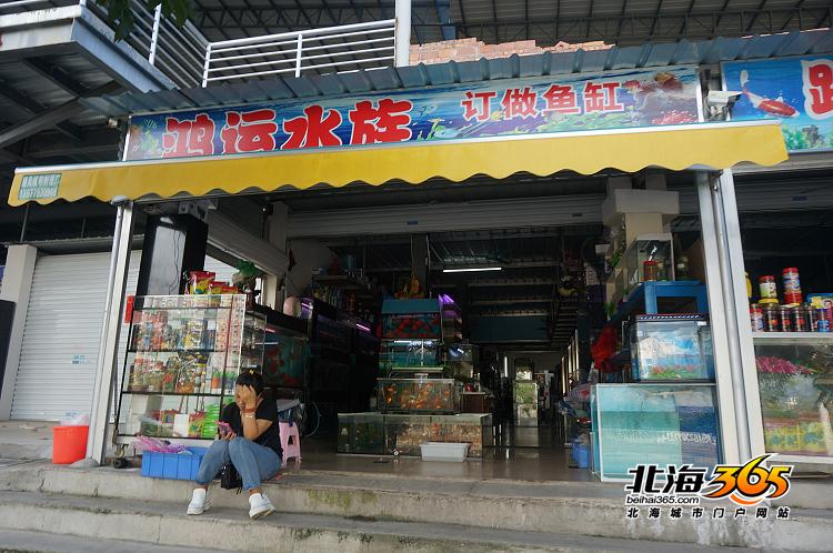 水族店,不是休息日吧,顧客並不多.