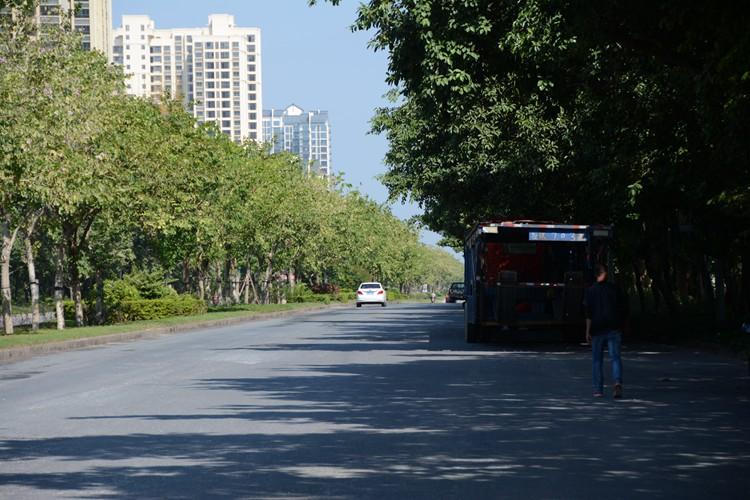 南珠大道何时修?短短2公里已有超20家汽车销售店及数十家汽配店