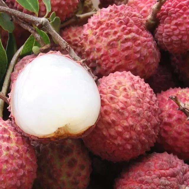 来自广东雷州的"覃斗荔枝",有成熟早,果实大,肉厚核小,爽脆清甜的特点