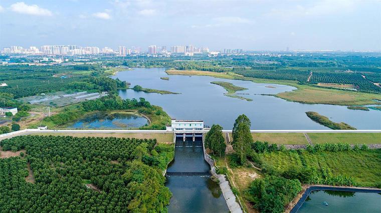扩建校园引进人才北海老牌学校要做品牌学校
