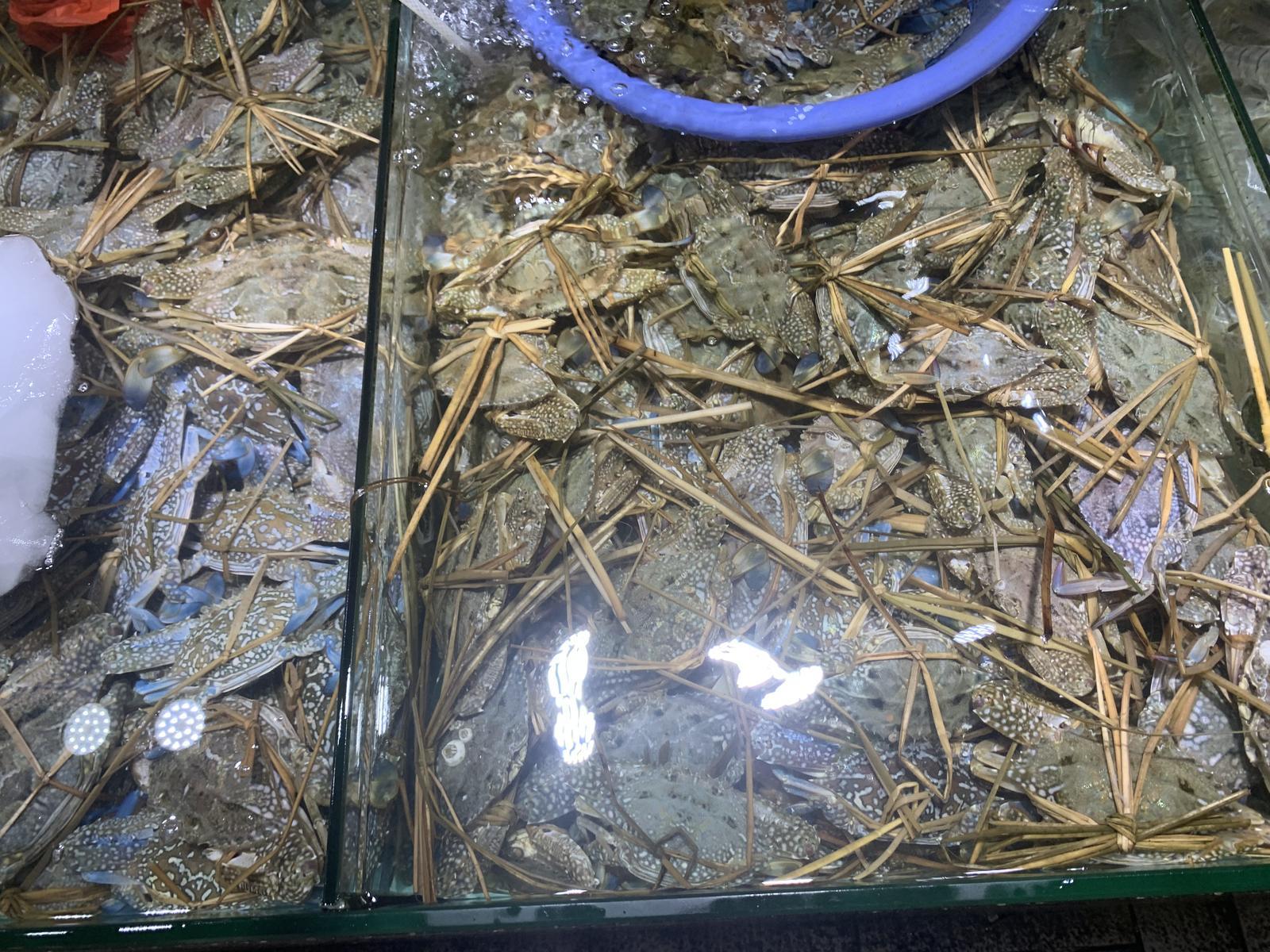 北海车活龙简介图片