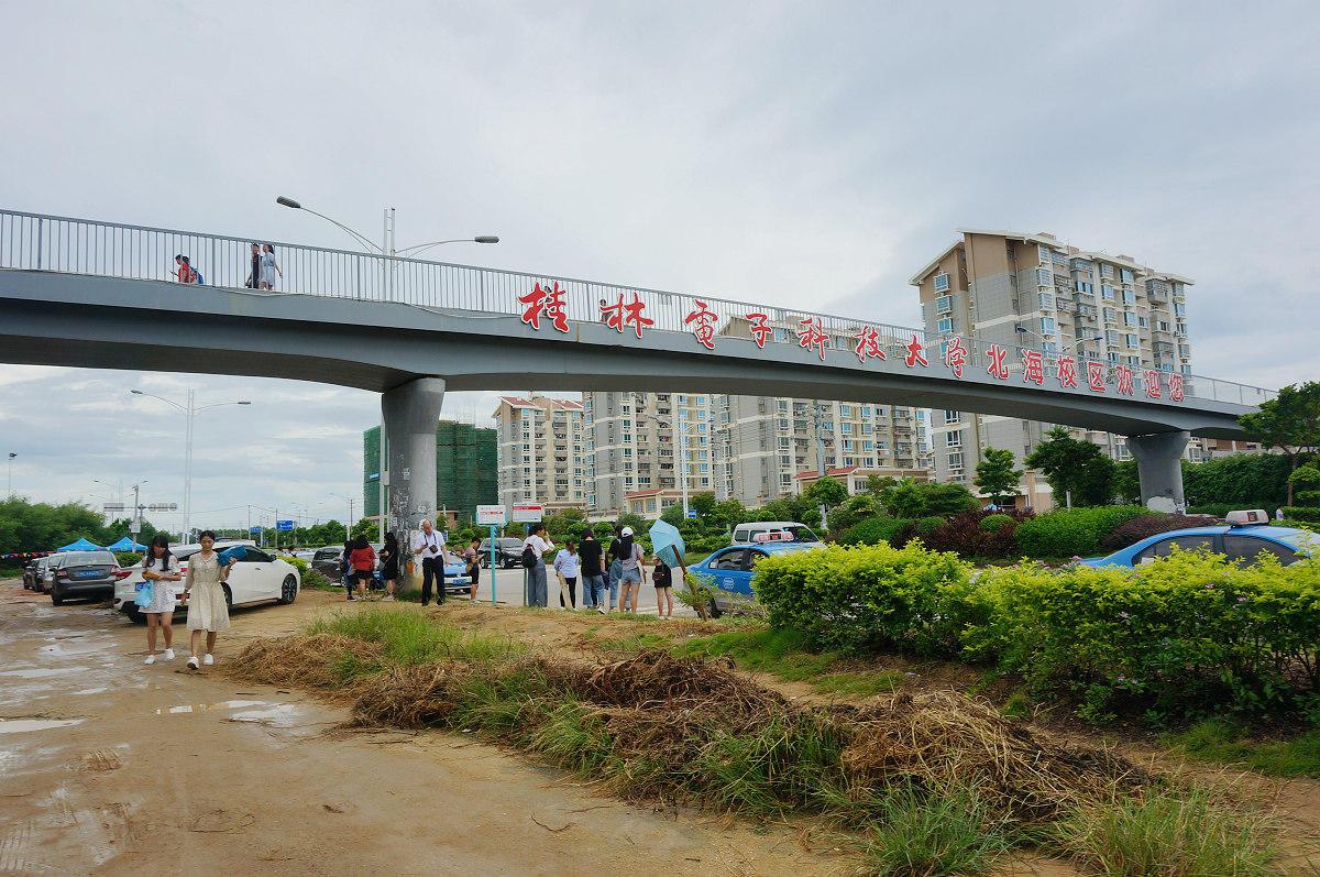 北海投资7000多万提升南珠大道的绿化景观