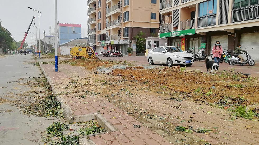 云南路之后,北海又有一条马路拔树扩宽