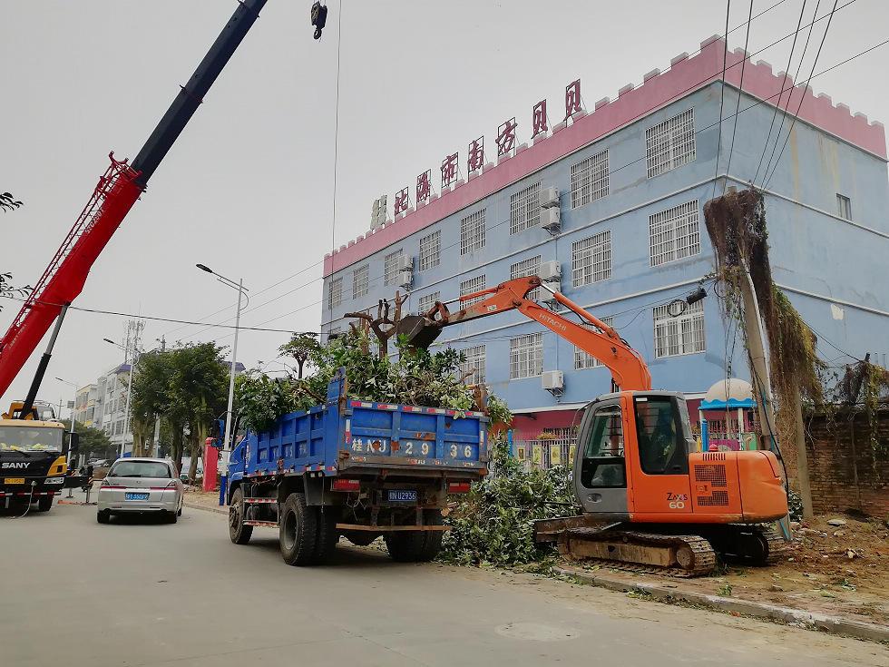 云南路之后,北海又有一条马路拔树扩宽