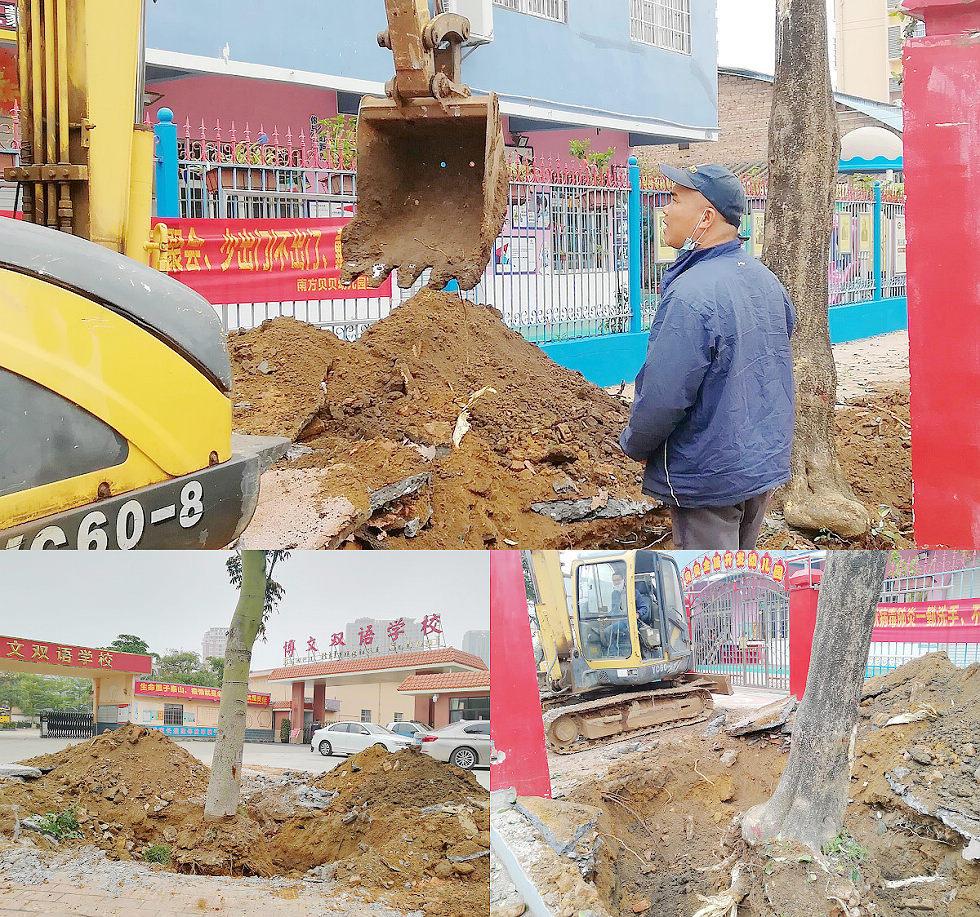 云南路之后,北海又有一条马路拔树扩宽