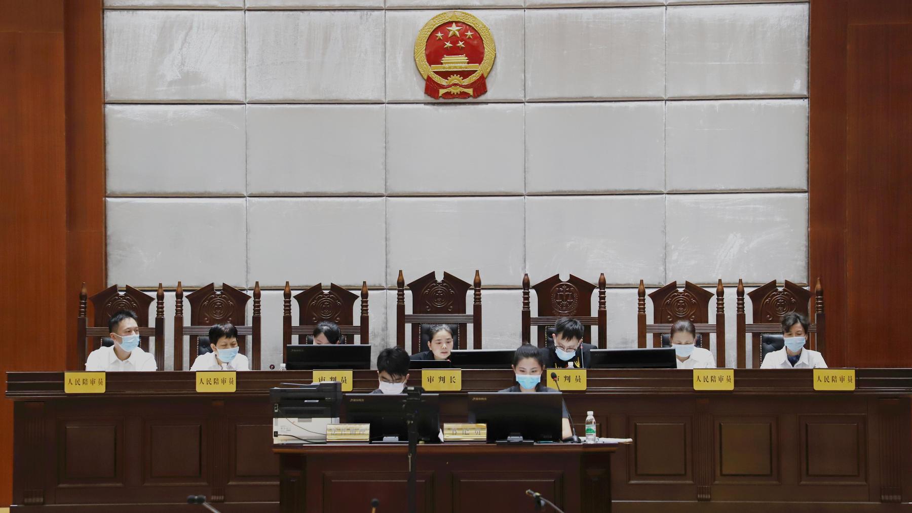 在冠头岭非法持枪猎鹰!海城法院今日公开庭审该案犯罪嫌疑人