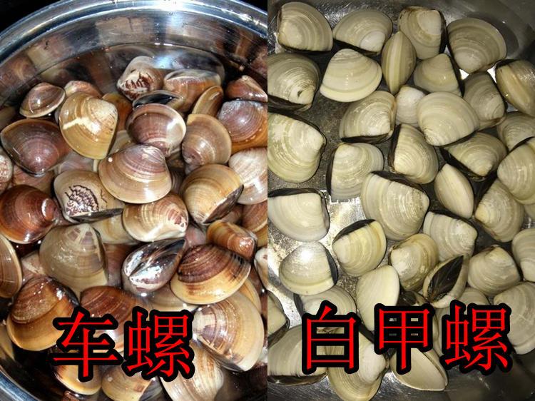 202蚊车螺汤商家你把白鸽螺偷换成车螺单凭这点就要退一赔三