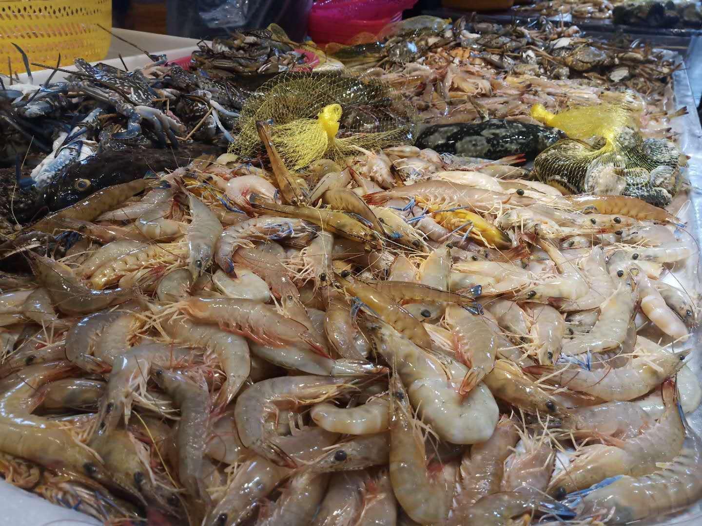 开海第二天,北海海鲜市场价格与码头海鲜价格相差太多?