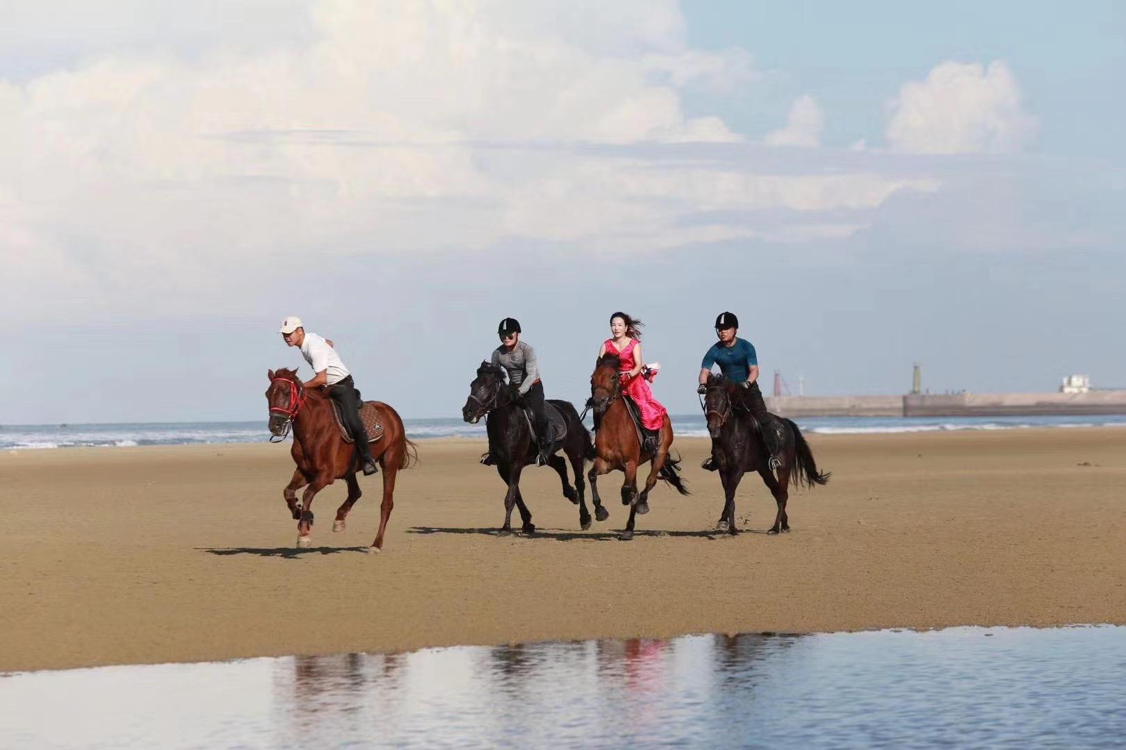 在北海的00后马术技师:自由,奔放,我喜欢这种在马背上驰骋的感觉