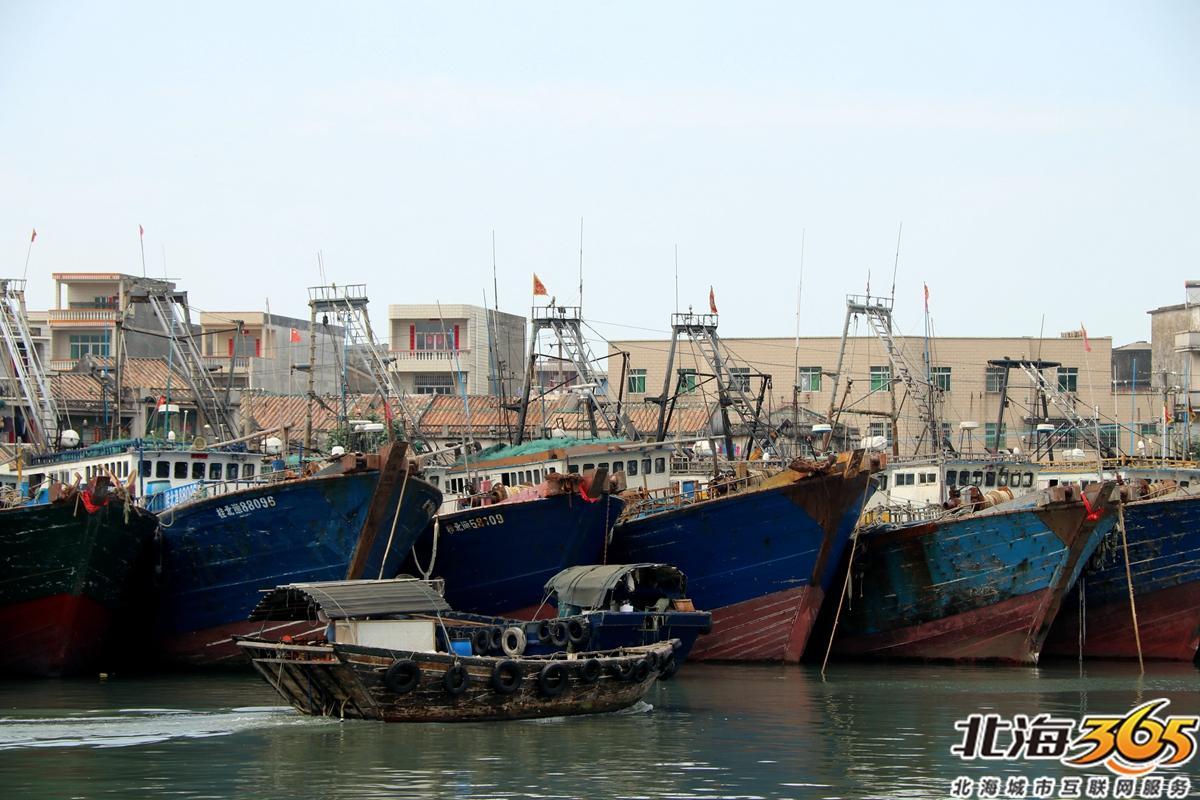 地角码头就停满了船,渔民收网,修补进行时-北海时事开讲-北海365网