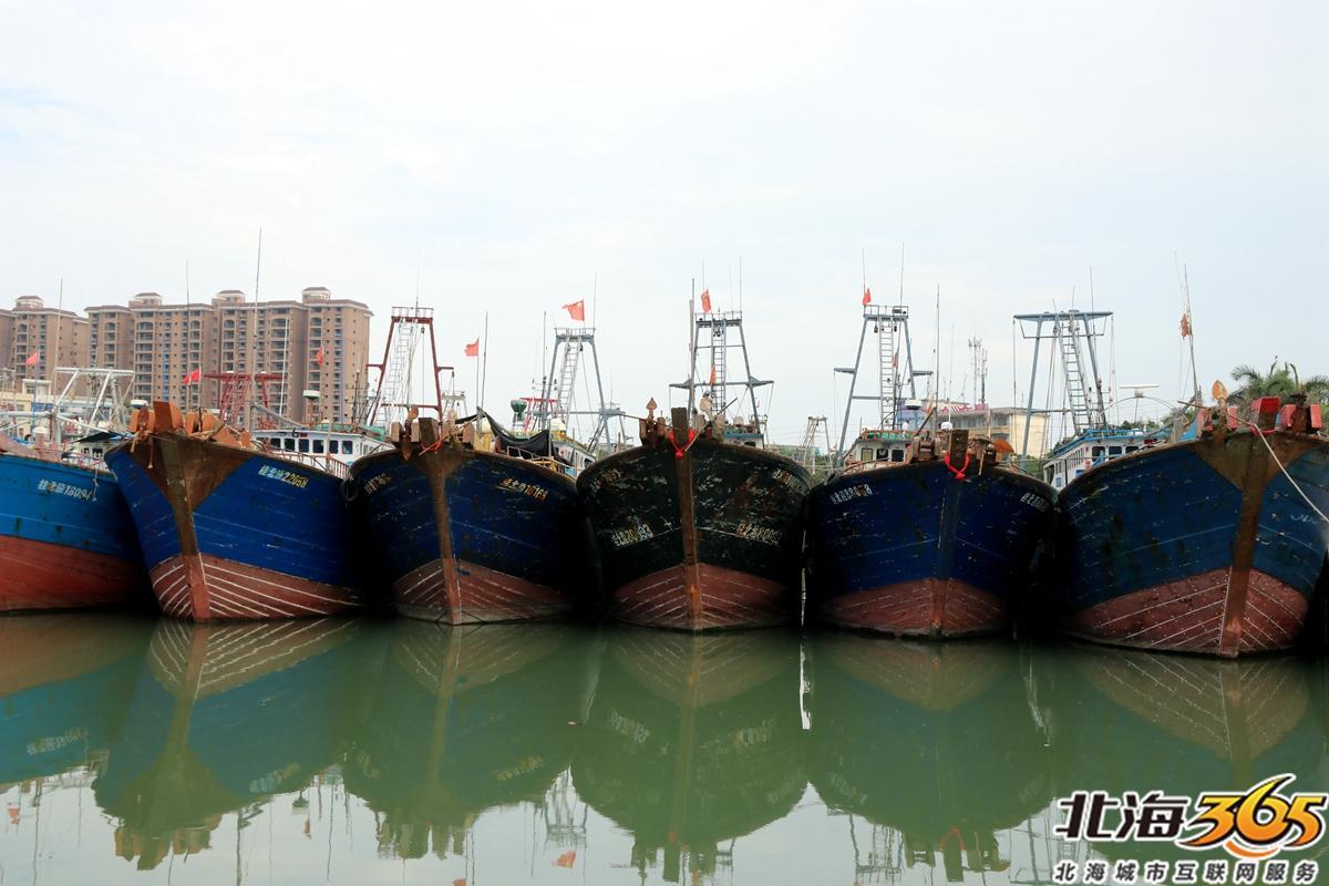 地角码头就停满了船,渔民收网,修补进行时-北海时事开讲-北海365网