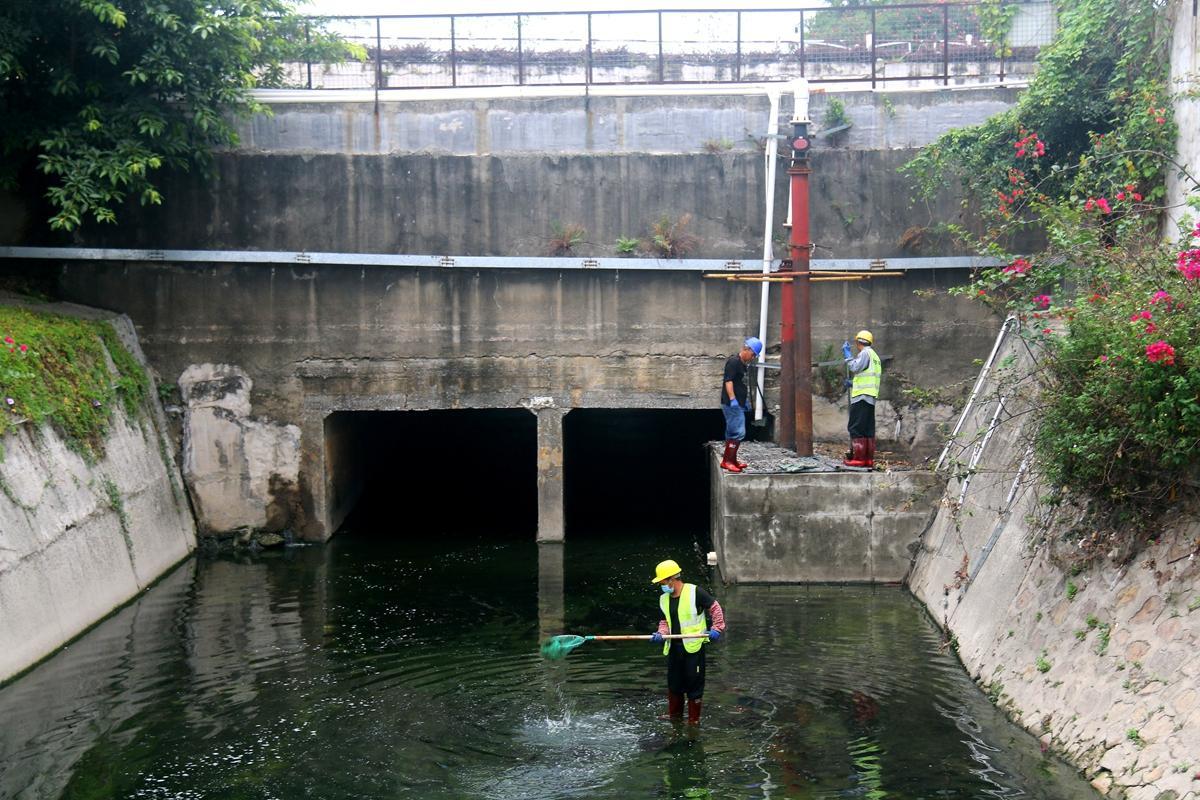 实地走访北海铁路明渠昔日恶臭已不在大雨过后还能排水通畅