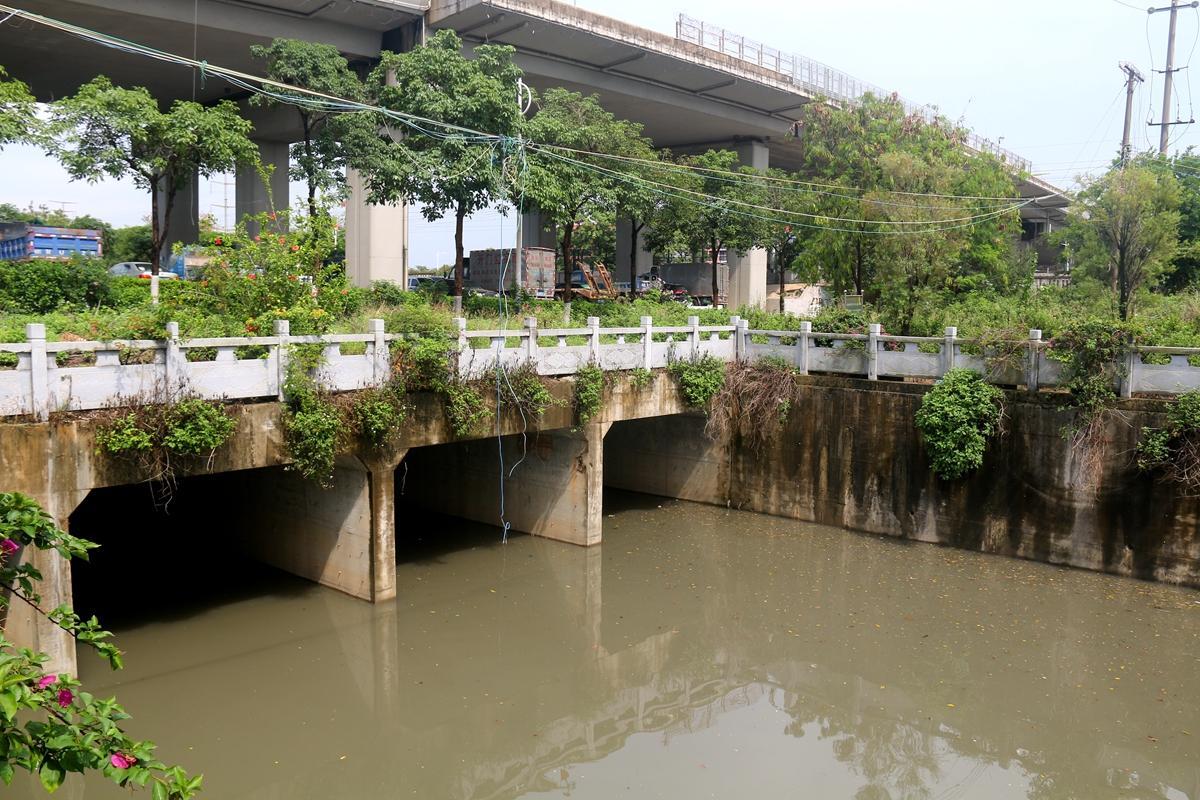 实地走访北海铁路明渠:昔日恶臭已不在,大雨过后还能排水通畅-北海时