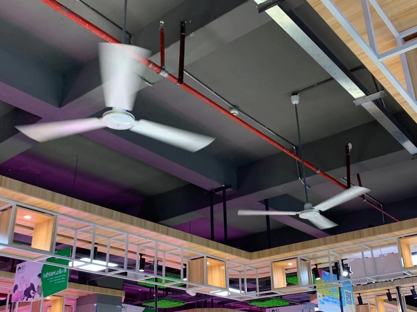 新改造的菜市场每个摊位都安装了大吊扇,走进去很是清凉.