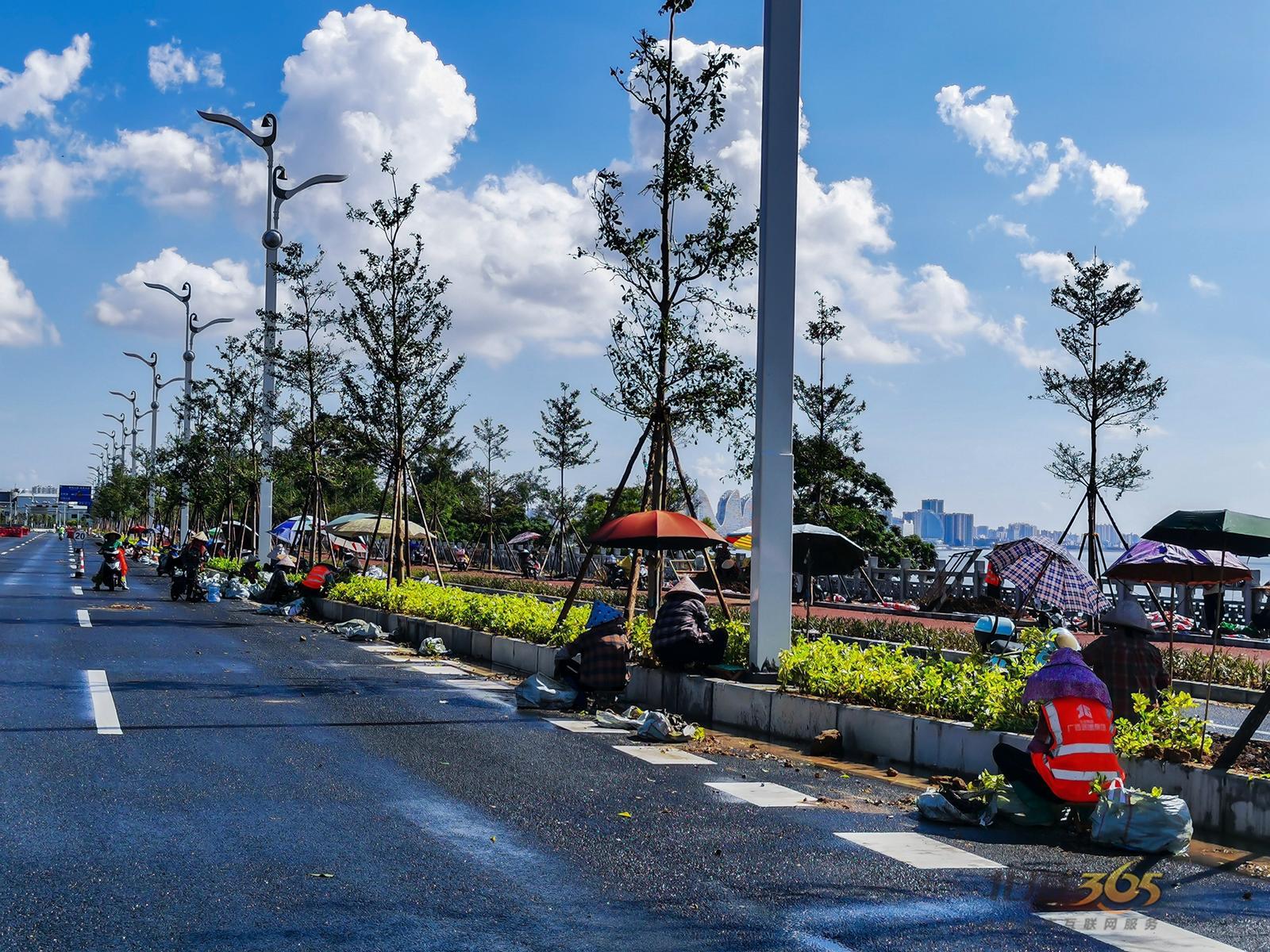 最新航拍廉州湾大道已划定标线种好树就等正式通车了