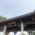李初八