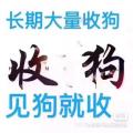 林仔17777922256
