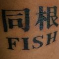 同根fⅰsh