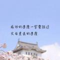 夏洛特