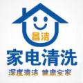烦人的小家伙