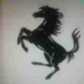 ffsnh