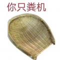 龙子纯
