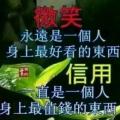 龙出大海
