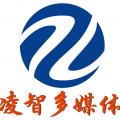 凌智多媒体