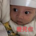 tb_1493535