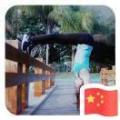 春天里的龙11