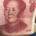 陪伴你