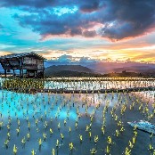 北海街坊_772888